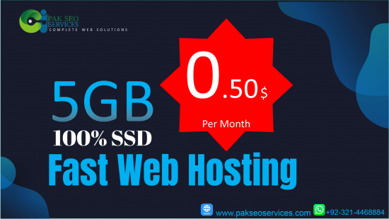 Web Hosting in Pakistan with the Leaders in Hosting Business