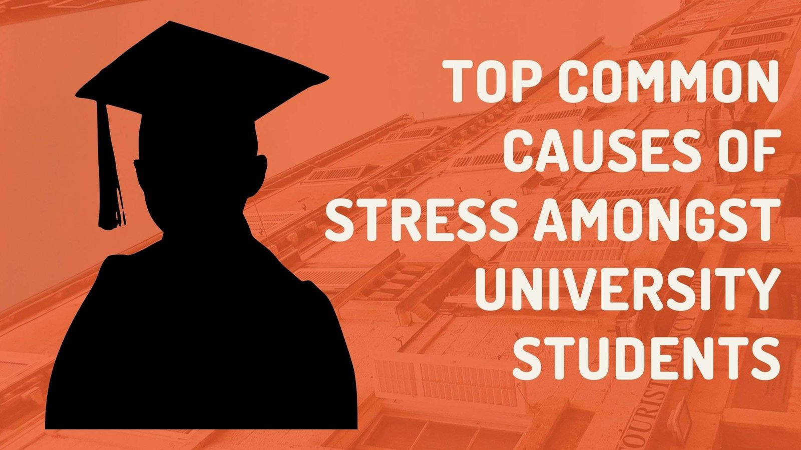 Top Common Causes Of Stress Amongst University Students
